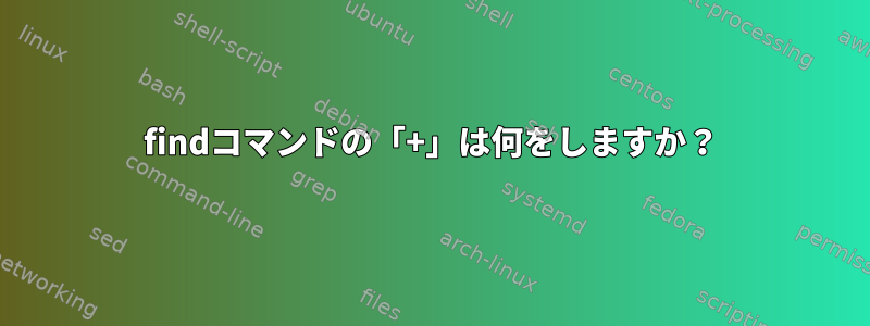 findコマンドの「+」は何をしますか？