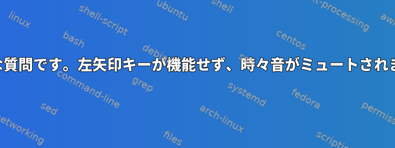 奇妙な質問です。左矢印キーが機能せず、時々音がミュートされます。