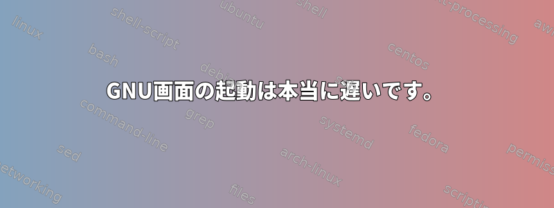 GNU画面の起動は本当に遅いです。