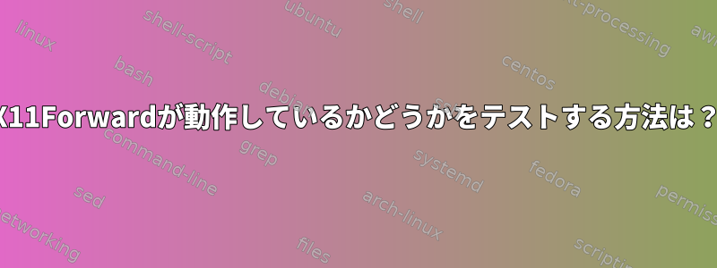 X11Forwardが動作しているかどうかをテストする方法は？