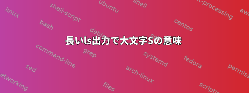 長いls出力で大文字Sの意味