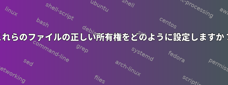 これらのファイルの正しい所有権をどのように設定しますか？