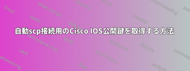 自動scp接続用のCisco IOS公開鍵を取得する方法