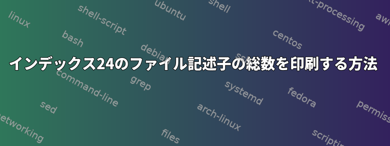 インデックス24のファイル記述子の総数を印刷する方法