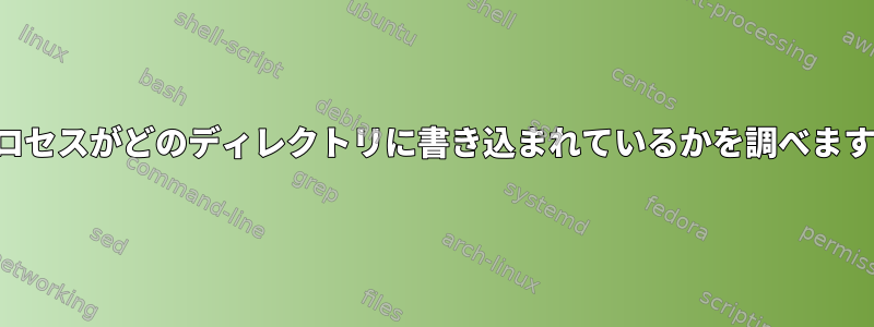 プロセスがどのディレクトリに書き込まれているかを調べます。