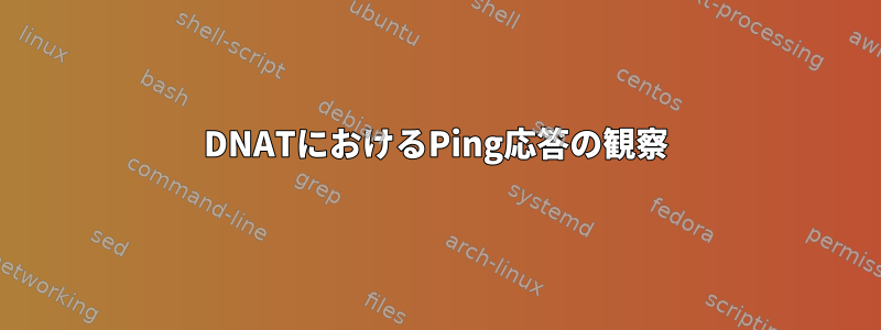 DNATにおけるPing応答の観察