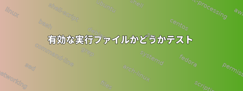 有効な実行ファイルかどうかテスト