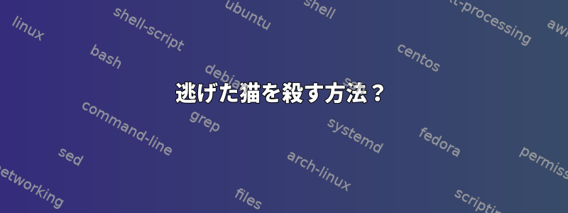 逃げた猫を殺す方法？