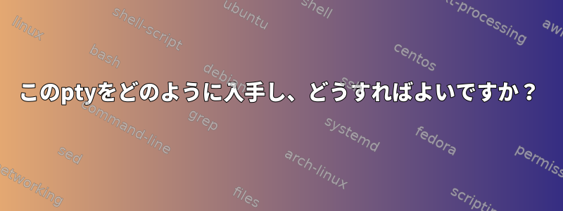 このptyをどのように入手し、どうすればよいですか？