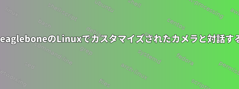 BeagleboneのLinuxでカスタマイズされたカメラと対話する