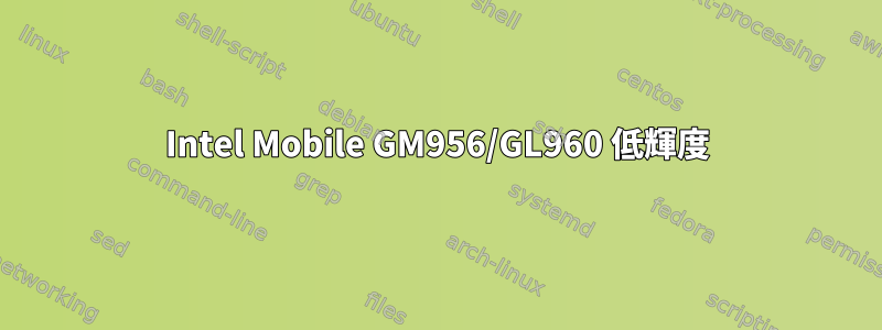 Intel Mobile GM956/GL960 低輝度