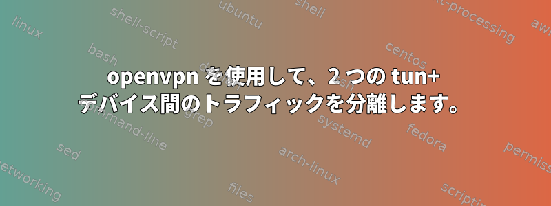 openvpn を使用して、2 つの tun+ デバイス間のトラフィックを分離します。