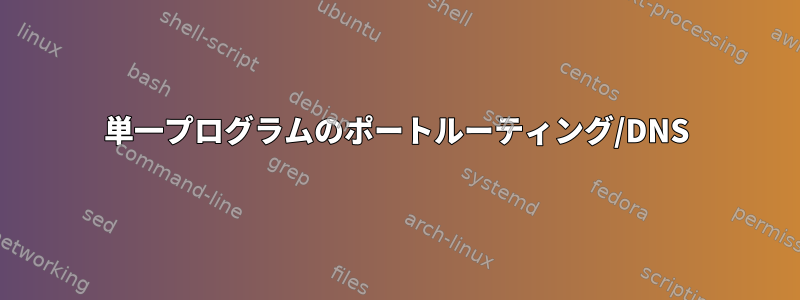 単一プログラムのポートルーティング/DNS