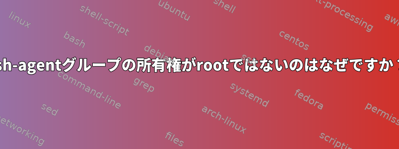 ssh-agentグループの所有権がrootではないのはなぜですか？