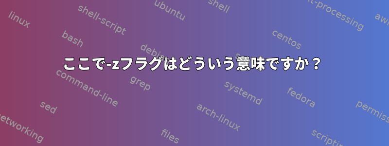 ここで-zフラグはどういう意味ですか？