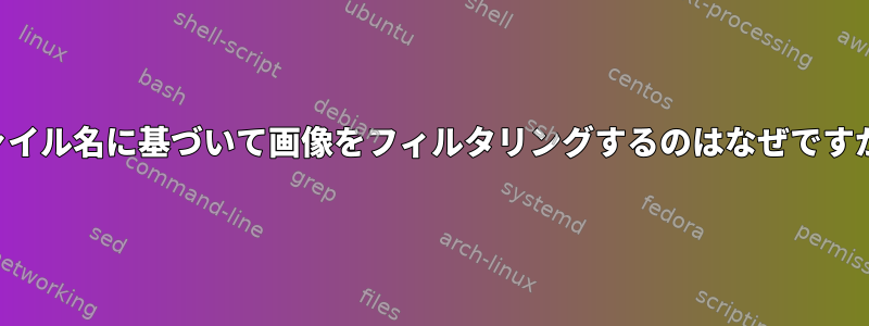 ファイル名に基づいて画像をフィルタリングするのはなぜですか？