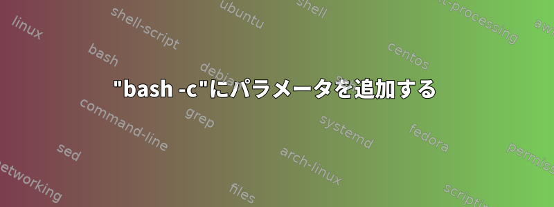 "bash -c"にパラメータを追加する