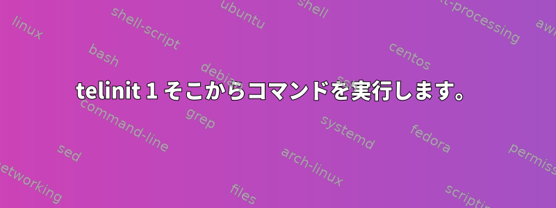 telinit 1 そこからコマンドを実行します。