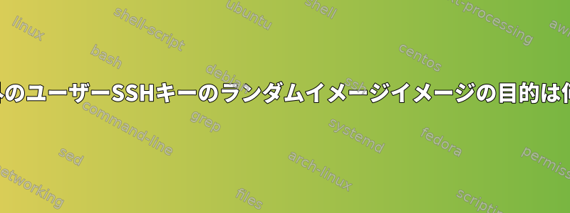 ホスト以外のユーザーSSHキーのランダムイメージイメージの目的は何ですか？