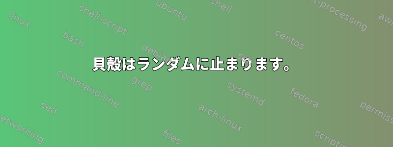 貝殻はランダムに止まります。