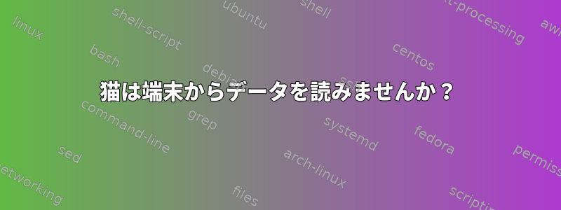 猫は端末からデータを読みませんか？