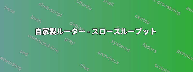 自家製ルーター - スロースループット