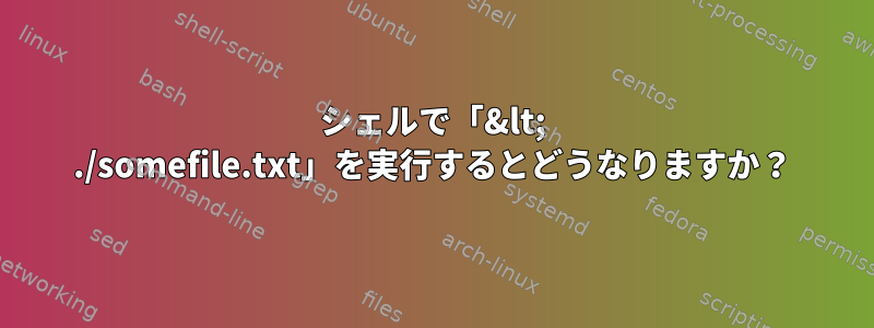 シェルで「&lt; ./somefile.txt」を実行するとどうなりますか？