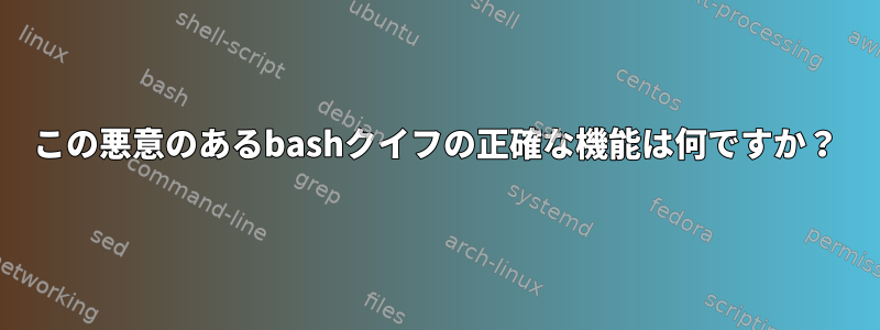 この悪意のあるbashクイフの正確な機能は何ですか？