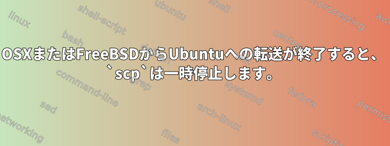 OSXまたはFreeBSDからUbuntuへの転送が終了すると、 `scp`は一時停止します。