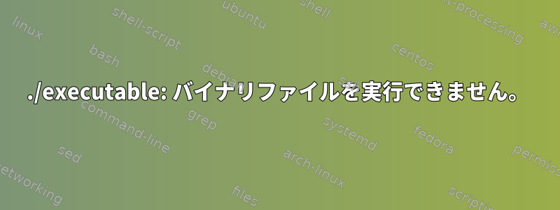 ./executable: バイナリファイルを実行できません。