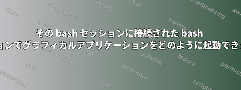 その bash セッションに接続された bash セッションでグラフィカルアプリケーションをどのように起動できますか?