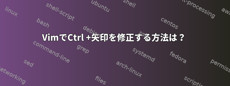 VimでCtrl +矢印を修正する方法は？