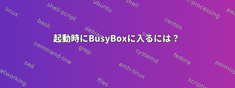 起動時にBusyBoxに入るには？