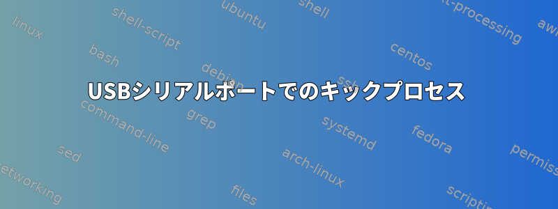 USBシリアルポートでのキックプロセス