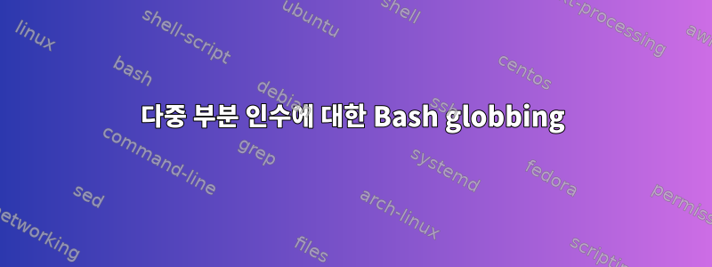 다중 부분 인수에 대한 Bash globbing