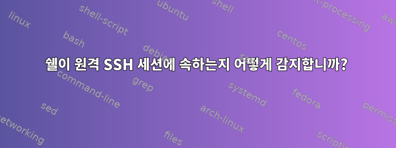 쉘이 원격 SSH 세션에 속하는지 어떻게 감지합니까?