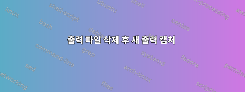 출력 파일 삭제 후 새 출력 캡처