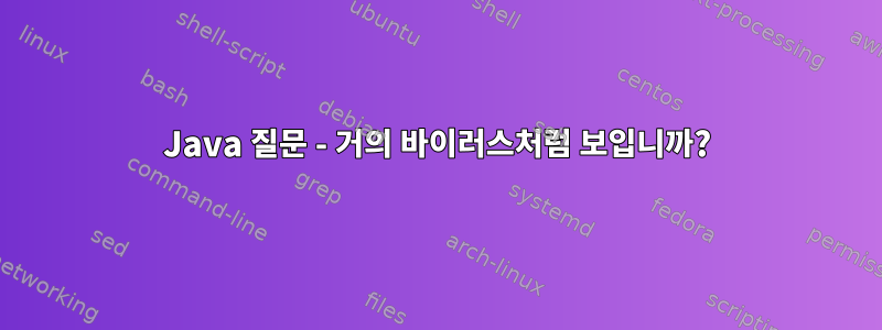 Java 질문 - 거의 바이러스처럼 보입니까?