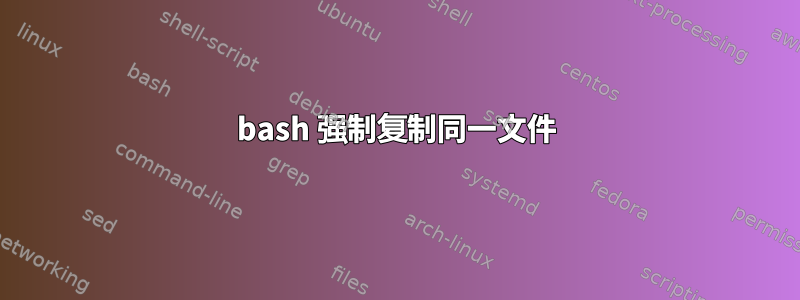 bash 强制复制同一文件