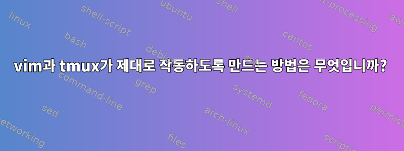 vim과 tmux가 제대로 작동하도록 만드는 방법은 무엇입니까?