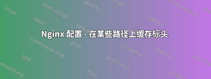 Nginx 配置 - 在某些路径上缓存标头