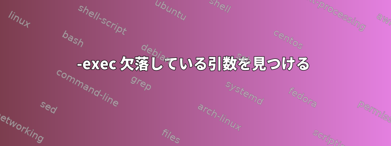 -exec 欠落している引数を見つける