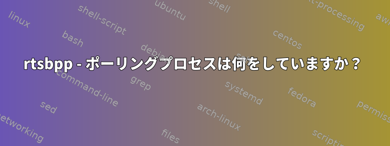 rtsbpp - ポーリングプロセスは何をしていますか？