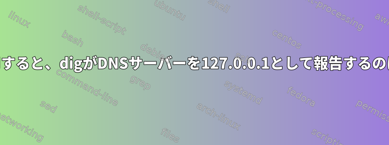 外部DNSを使用すると、digがDNSサーバーを127.0.0.1として報告するのはなぜですか？