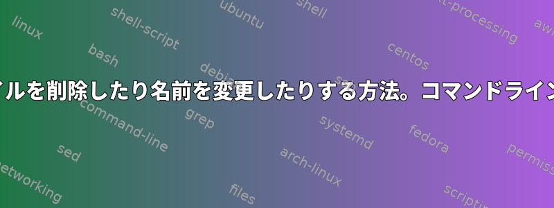 特殊文字を含むファイルを削除したり名前を変更したりする方法。コマンドラインで「-x」を使用する