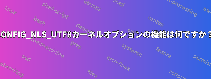 CONFIG_NLS_UTF8カーネルオプションの機能は何ですか？