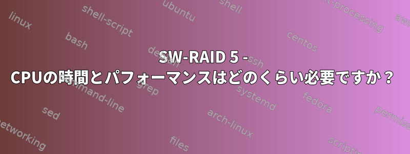 SW-RAID 5 - CPUの時間とパフォーマンスはどのくらい必要ですか？