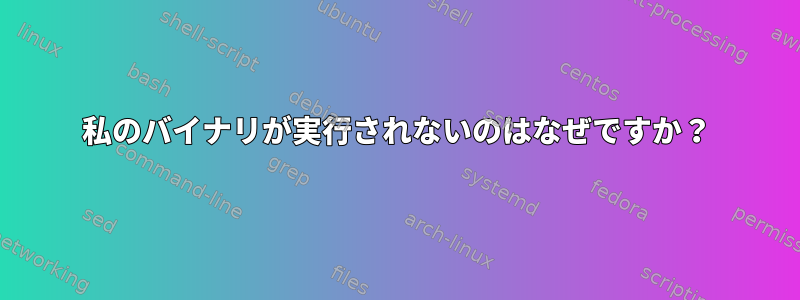 私のバイナリが実行されないのはなぜですか？