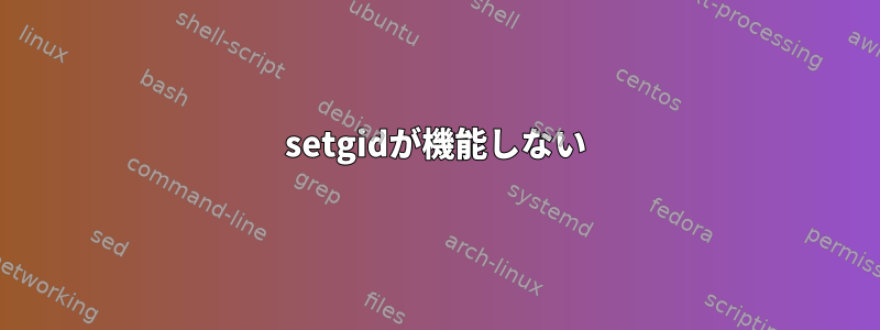 setgidが機能しない