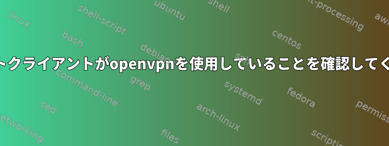 トレントクライアントがopenvpnを使用していることを確認してください